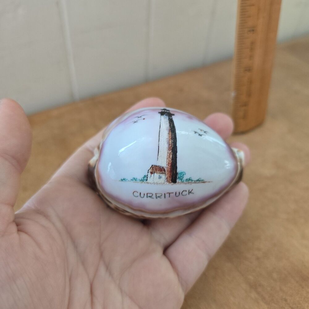 Handpainted Currituck North Carolina Tourism Natural Tiger Cowrie Sea Shell